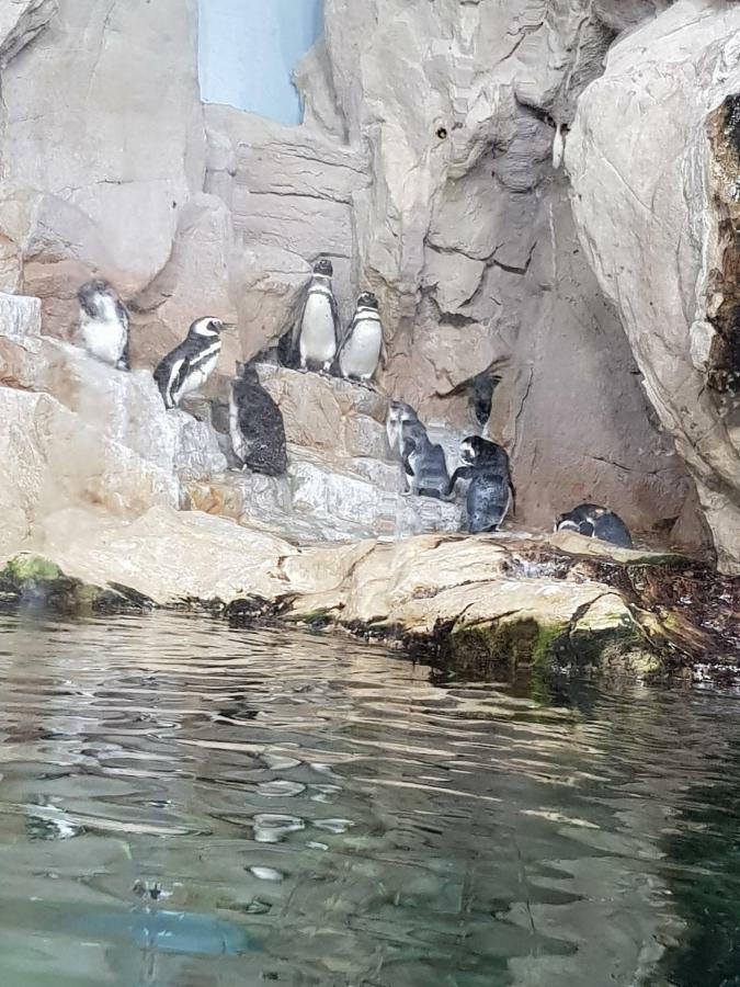 Al Borgo Di Priaruggia Villa Genova Eksteriør billede